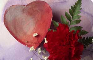 Dreamer, el secreto de vivir so�ando...